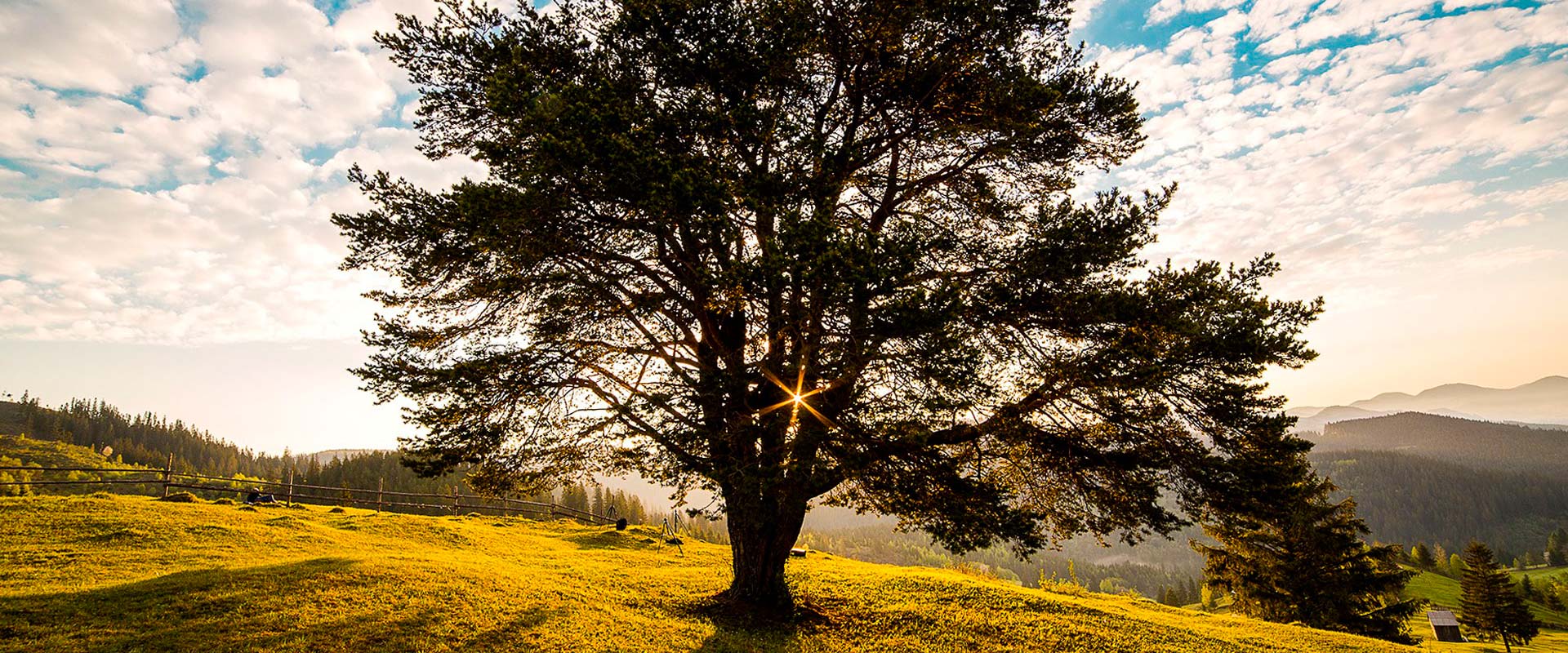 Simplified Trading System