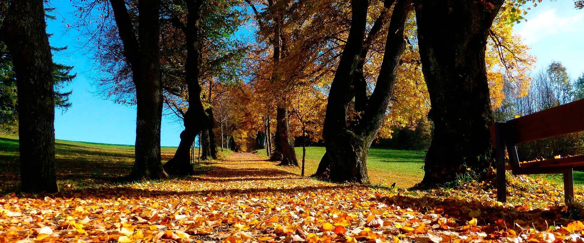 Fully Planned Trades